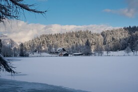 雪景