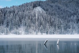 雪景
