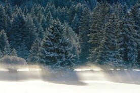 雪景