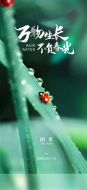 雨水