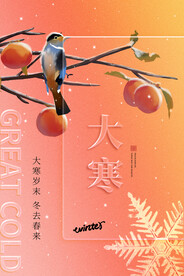 大寒海报