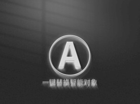 样机