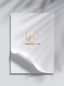 样机