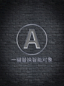 样机
