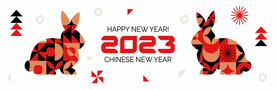 兔年新年插画