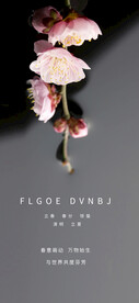 立春