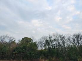 农村自然风光景色