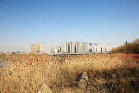 洛河岸边美景风光