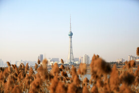 洛阳广播电视塔