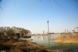 洛浦公园河岸风光