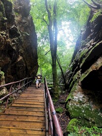 风景 天梯 