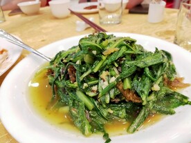 鲮鱼油麦菜