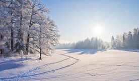 雪