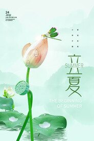 荷花立夏海报