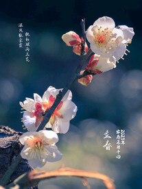 立春