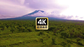 火山脚下平面丛林美景