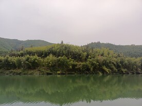 青山 绿水