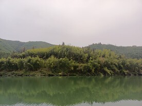 青山 绿水
