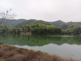 青山 绿水