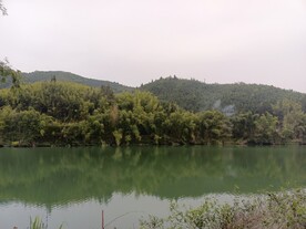 青山 绿水
