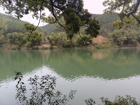 青山 绿水