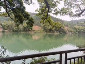 绿水 青山