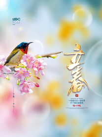 立春