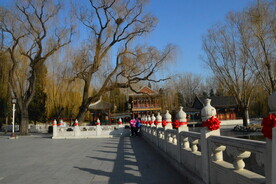 公园风景  