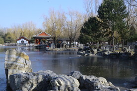 公园风景  