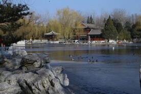 公园风景  