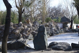公园风景  