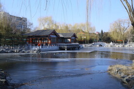 公园风景 