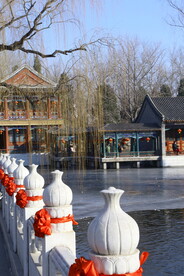 公园风景  