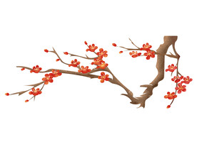 红梅梅花素材