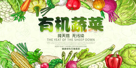 有机蔬菜