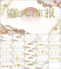 鎏金风工作汇报通用模板