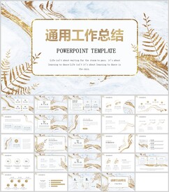 鎏金风通用工作总结报告