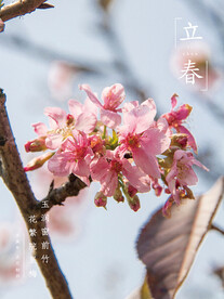立春