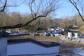 公园风景