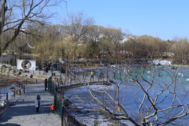 公园风景 
