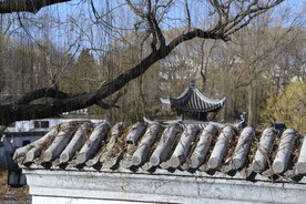 公园风景 