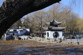 公园风景