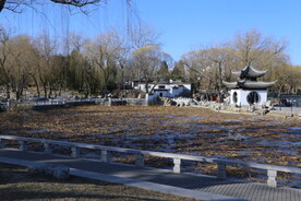 公园风景 