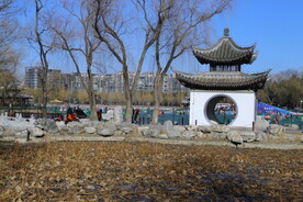 公园风景  