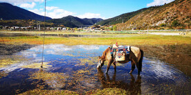 四川稻城亚丁风光