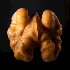 核桃