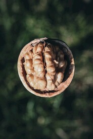 核桃             