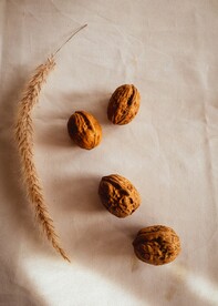 核桃             