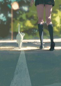 马路上的女孩和白色猫咪
