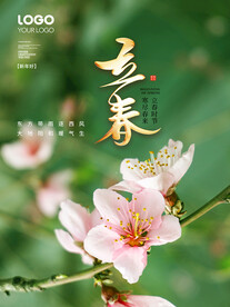 立春海报
